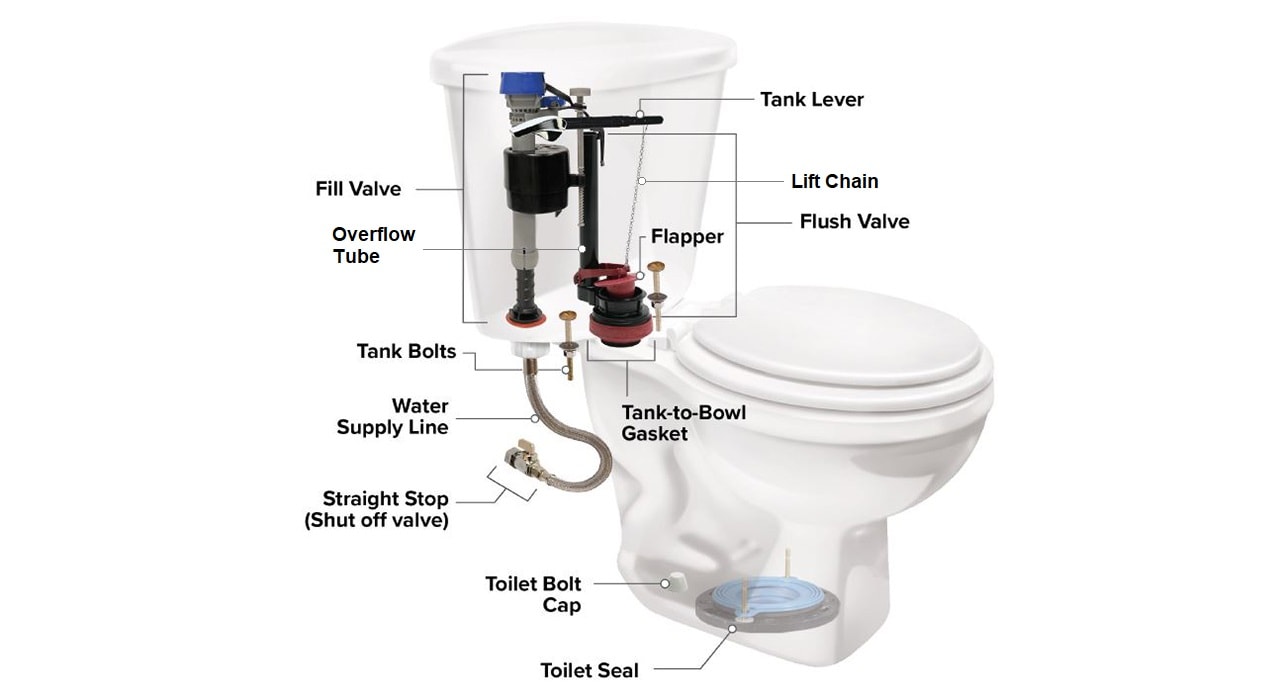 Bidet and toilet diagram